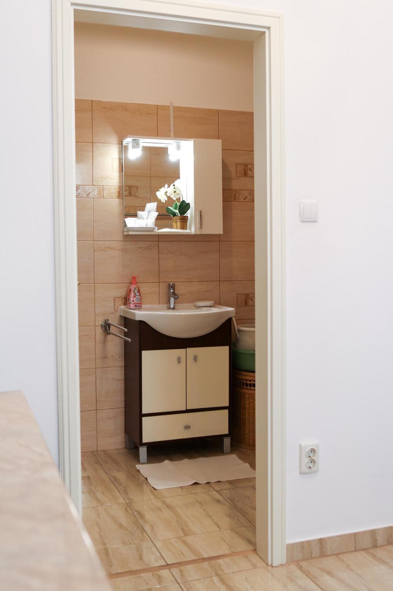 טימישוארה Neuhausz Residenz Ultra-Central Apartment מראה חיצוני תמונה