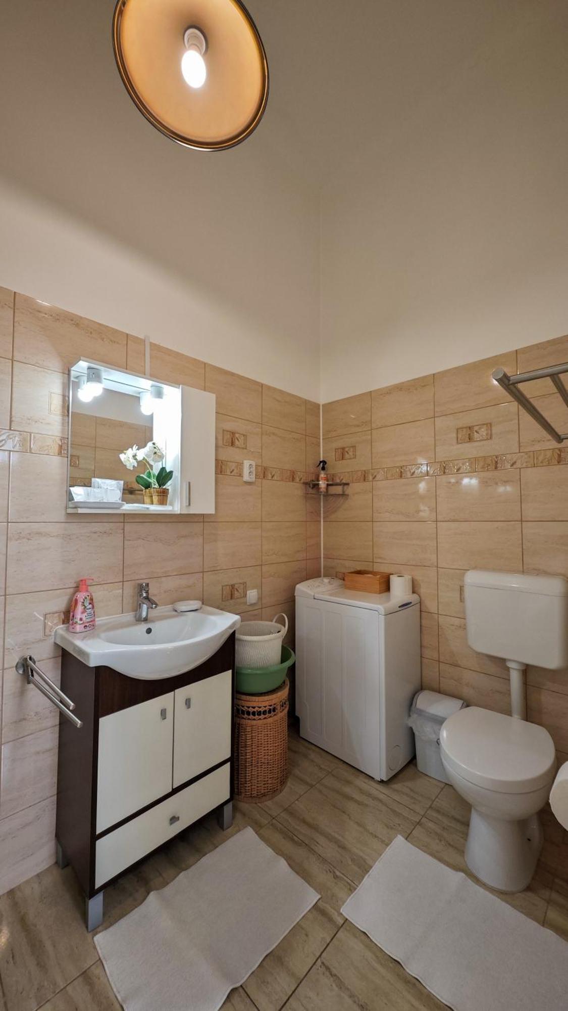 טימישוארה Neuhausz Residenz Ultra-Central Apartment מראה חיצוני תמונה