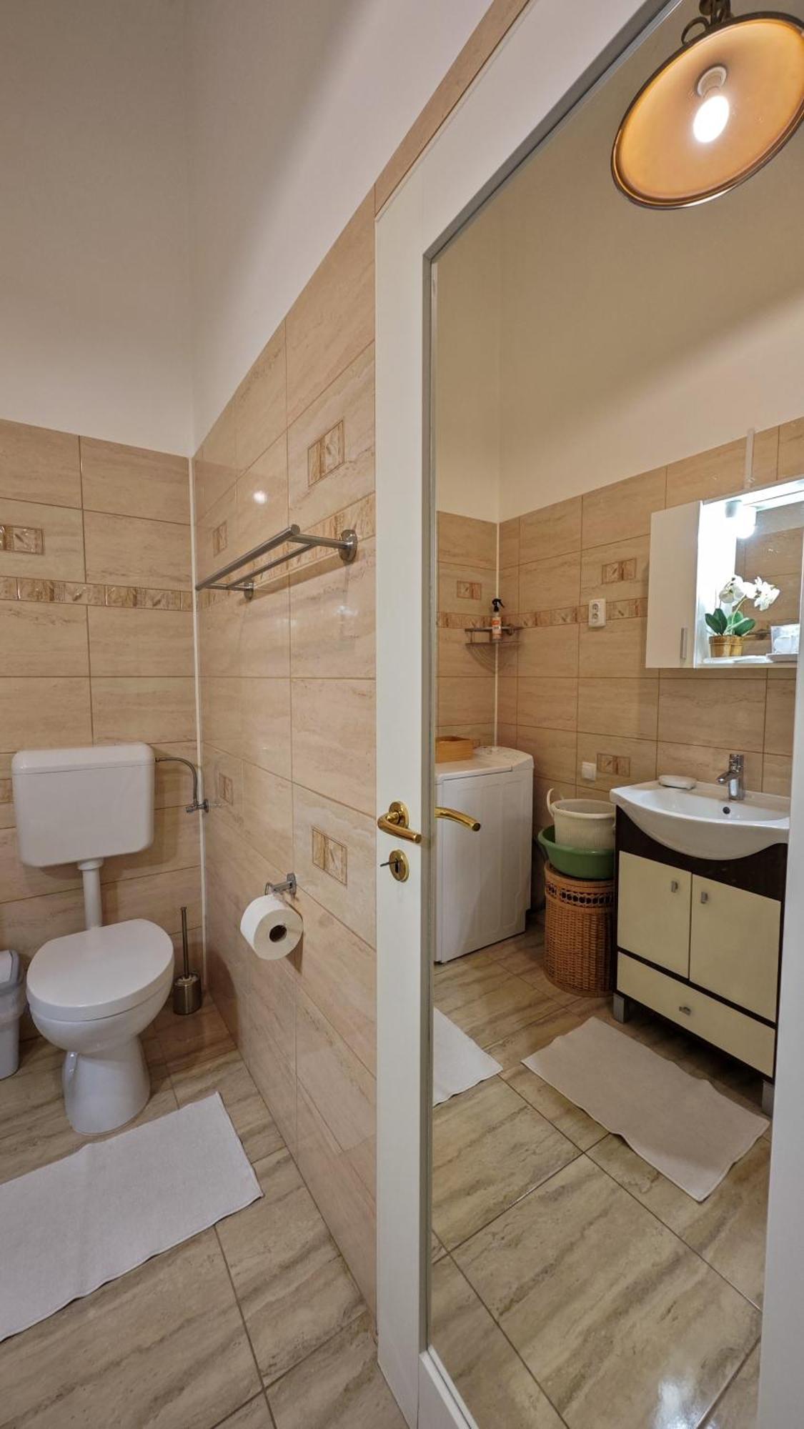טימישוארה Neuhausz Residenz Ultra-Central Apartment מראה חיצוני תמונה