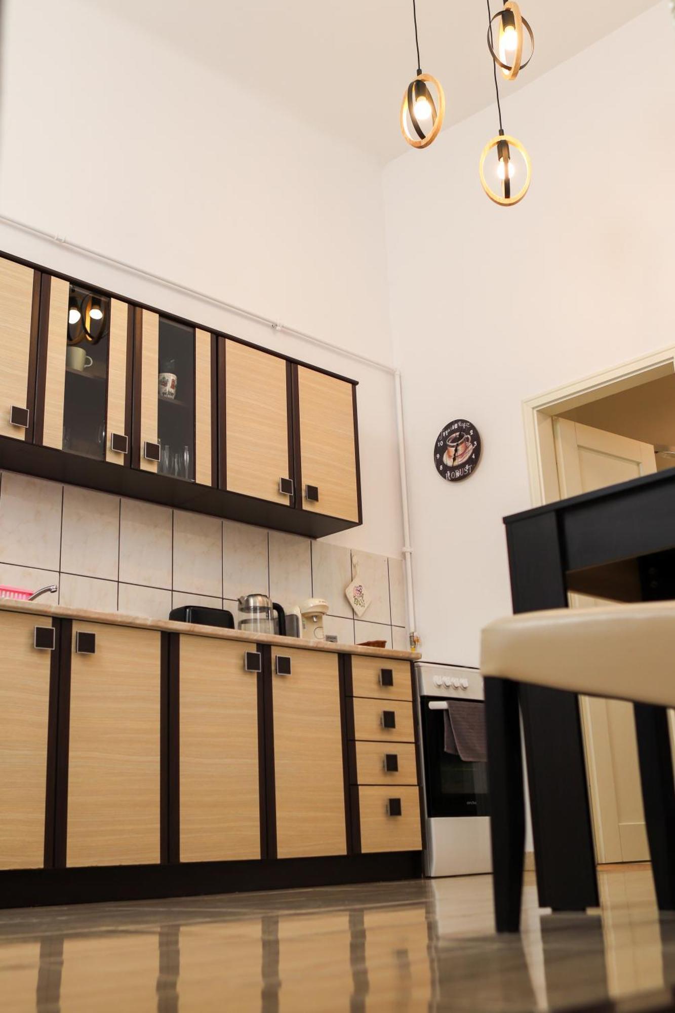 טימישוארה Neuhausz Residenz Ultra-Central Apartment מראה חיצוני תמונה